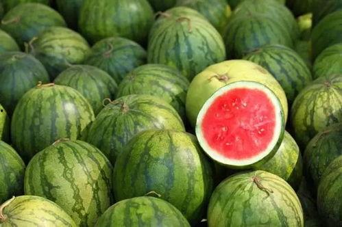 世界吃瓜法制视频大全最新,世界吃瓜法制视频大全精选盘点