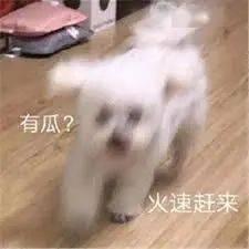轻松时刻吃瓜视频,跟随吃瓜视频，畅享欢乐时光