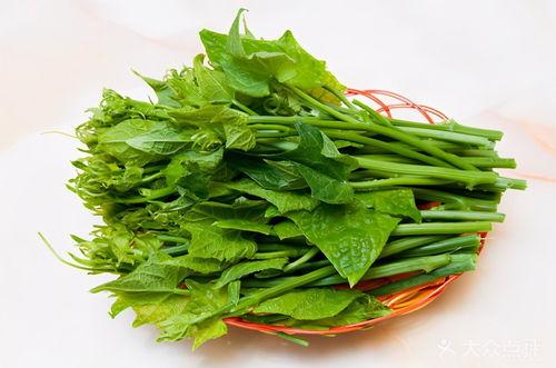 瓜尖怎么吃才好吃呢视频,解锁最佳食用秘诀