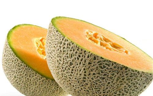 八哥吃不吃哈密瓜呢视频,揭秘八哥对哈密瓜的喜爱之谜