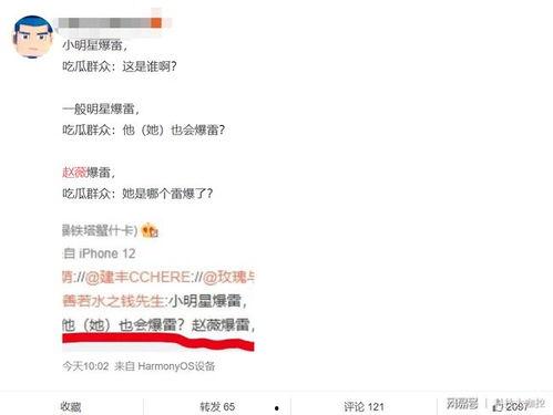 暴雷吃瓜群众视频,吃瓜群众视角下的视频揭秘