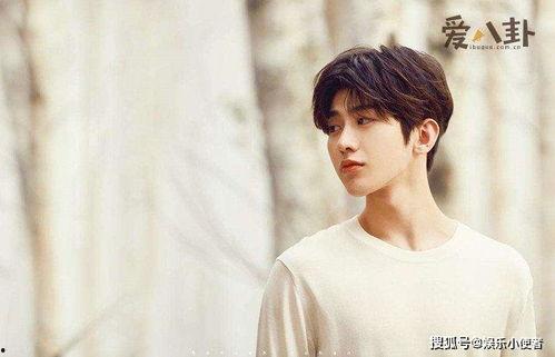 李晨吃瓜蔡徐坤视频播放,视频播放引发网友热议