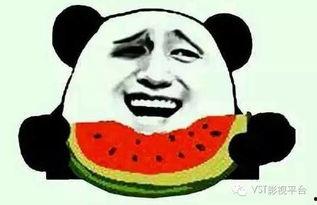 吃瓜群众凝视警察视频大全