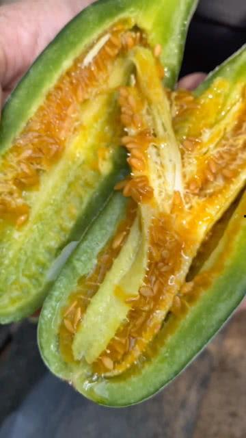 吃瓜黄料视频,带你领略网络热点的背后真相