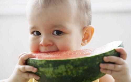 吃瓜宝宝完整视频