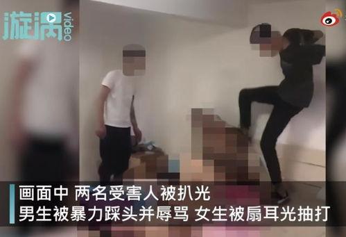 吃瓜男女打架视频大全集,男女打架视频大全集精彩瞬间回顾